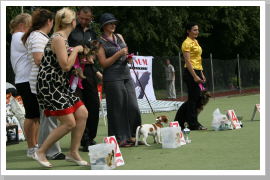 Klicken Sie auf das Bild, um es zu vergrößern