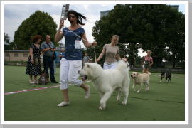 Klicken Sie auf das Bild, um es zu vergrößern