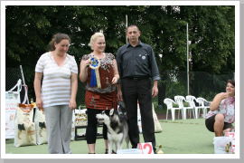 Klicken Sie auf das Bild, um es zu vergrößern