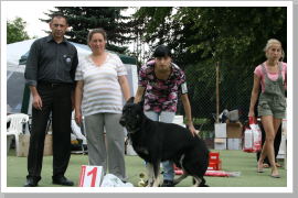 Klicken Sie auf das Bild, um es zu vergrößern