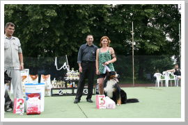 Klicken Sie auf das Bild, um es zu vergrößern