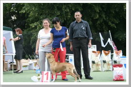 Klicken Sie auf das Bild, um es zu vergrößern