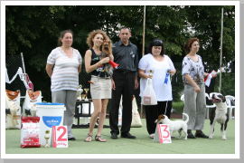 Klicken Sie auf das Bild, um es zu vergrößern