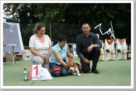 Klicken Sie auf das Bild, um es zu vergrößern