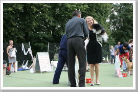 Klicken Sie auf das Bild, um es zu vergrößern