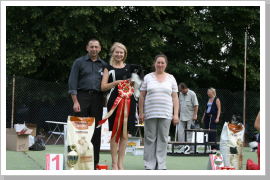 Klicken Sie auf das Bild, um es zu vergrößern