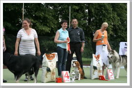 Klicken Sie auf das Bild, um es zu vergrößern