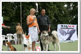 Klicken Sie auf das Bild, um es zu vergrößern