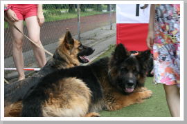 Klicken Sie auf das Bild, um es zu vergrößern