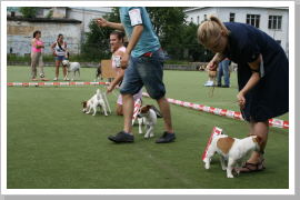 Klicken Sie auf das Bild, um es zu vergrößern