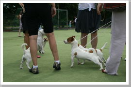 Klicken Sie auf das Bild, um es zu vergrößern