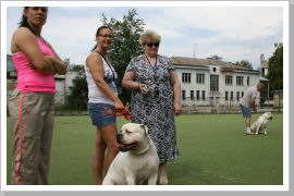 Klicken Sie auf das Bild, um es zu vergrößern