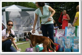 Klicken Sie auf das Bild, um es zu vergrößern