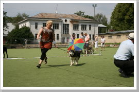 Klicken Sie auf das Bild, um es zu vergrößern