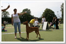 Klicken Sie auf das Bild, um es zu vergrößern
