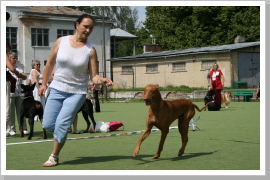 Klicken Sie auf das Bild, um es zu vergrößern