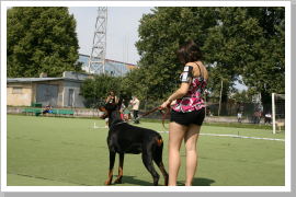 Klicken Sie auf das Bild, um es zu vergrößern