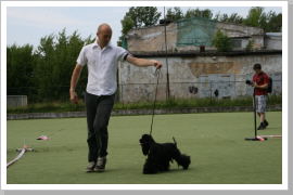 Klicken Sie auf das Bild, um es zu vergrößern