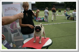 Klicken Sie auf das Bild, um es zu vergrößern