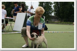 Klicken Sie auf das Bild, um es zu vergrößern