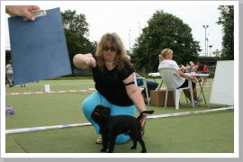 Klicken Sie auf das Bild, um es zu vergrößern