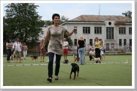 Klicken Sie auf das Bild, um es zu vergrößern