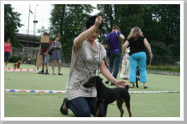 Klicken Sie auf das Bild, um es zu vergrößern