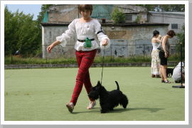 Klicken Sie auf das Bild, um es zu vergrößern