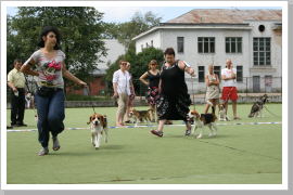 Klicken Sie auf das Bild, um es zu vergrößern