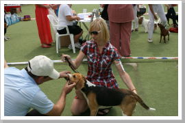 Klicken Sie auf das Bild, um es zu vergrößern