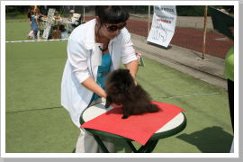 Klicken Sie auf das Bild, um es zu vergrößern