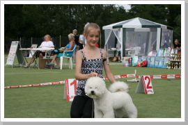 Klicken Sie auf das Bild, um es zu vergrößern