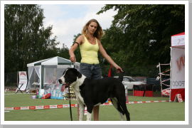 Klicken Sie auf das Bild, um es zu vergrößern