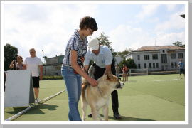 Klicken Sie auf das Bild, um es zu vergrößern