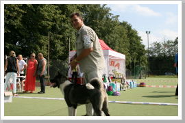 Klicken Sie auf das Bild, um es zu vergrößern