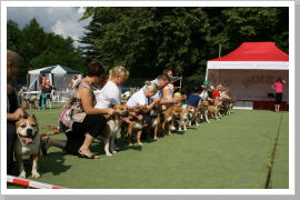 Klicken Sie auf das Bild, um es zu vergrößern