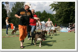 Klicken Sie auf das Bild, um es zu vergrößern