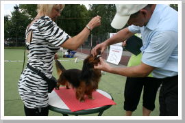 Klicken Sie auf das Bild, um es zu vergrößern