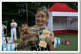 Klicken Sie auf das Bild, um es zu vergrößern