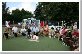 Klicken Sie auf das Bild, um es zu vergrößern