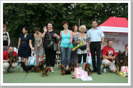 Klicken Sie auf das Bild, um es zu vergrößern