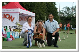 Klicken Sie auf das Bild, um es zu vergrößern