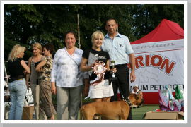 Klicken Sie auf das Bild, um es zu vergrößern