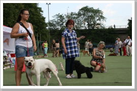 Klicken Sie auf das Bild, um es zu vergrößern