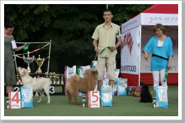 Klicken Sie auf das Bild, um es zu vergrößern