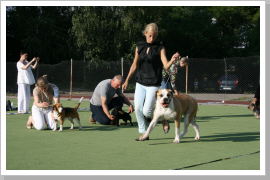 Klicken Sie auf das Bild, um es zu vergrößern