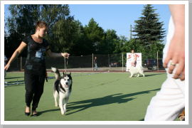 Klicken Sie auf das Bild, um es zu vergrößern