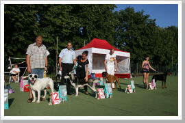 Klicken Sie auf das Bild, um es zu vergrößern