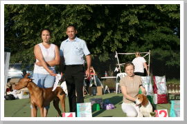 Klicken Sie auf das Bild, um es zu vergrößern