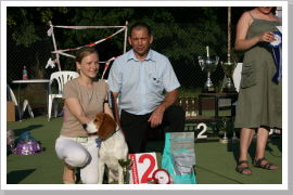 Klicken Sie auf das Bild, um es zu vergrößern